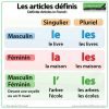Definite Articles in French - Le, La, L', Les - Les articles définis en français