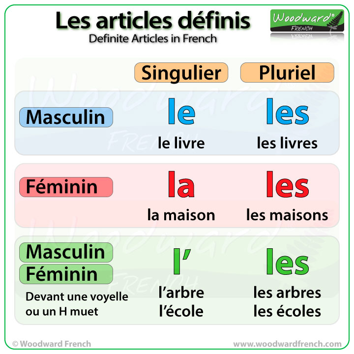 articles to read in french